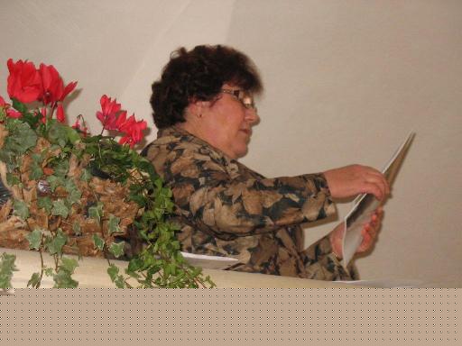 tdh1111.jpg (29746 Byte)